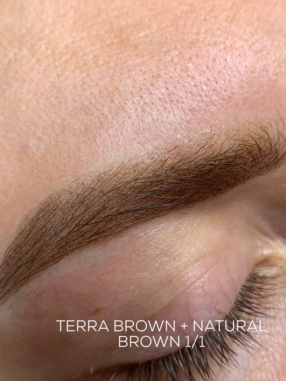 TERRA BROWN + BRONZA 3