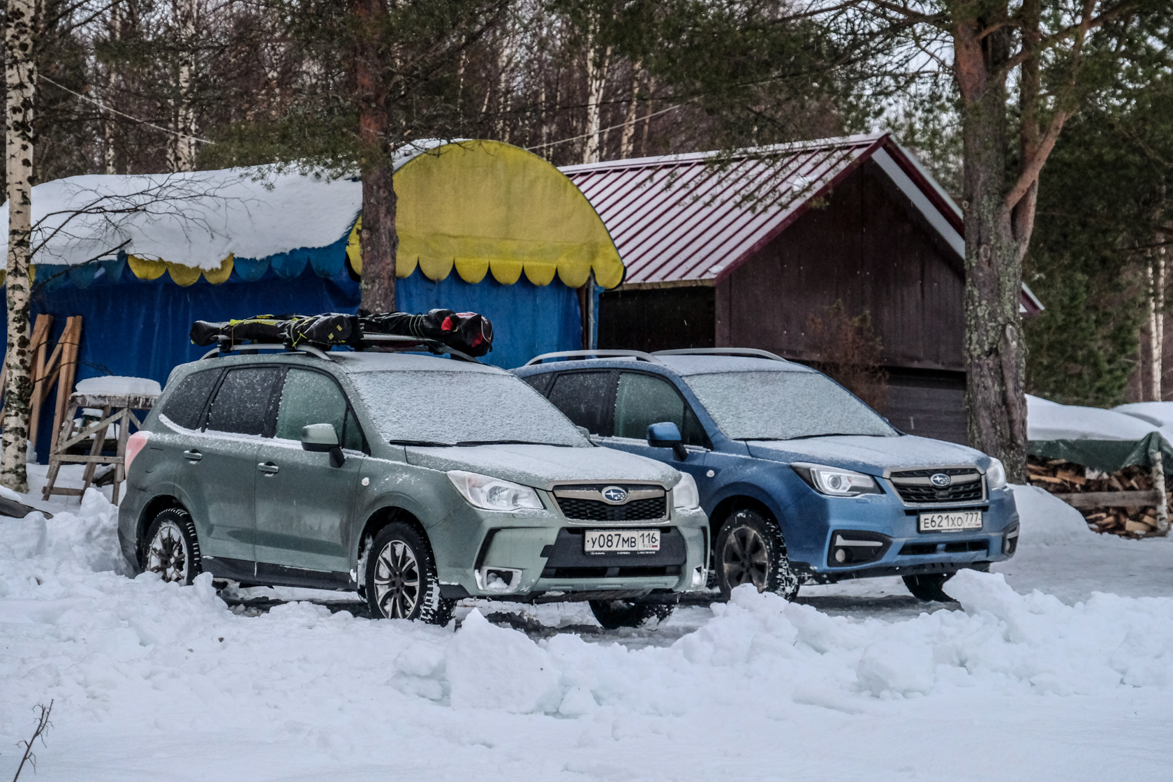 Subaru Forester: за снегом и Санта-Клаусом