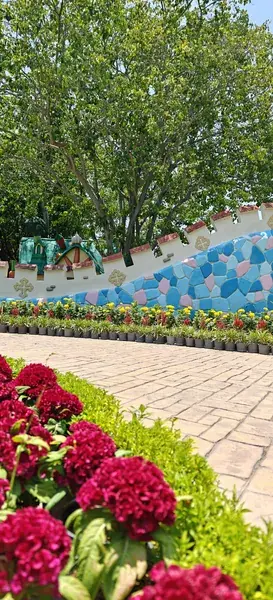 Мозаичная стена и ряды цветов целозии в Саду Мечты парка Dream World