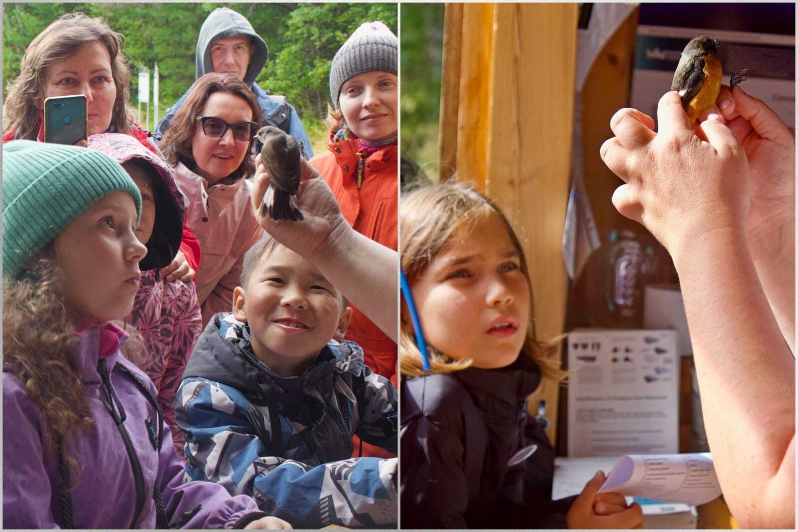 на станции кольцевания птиц «Байкальская»