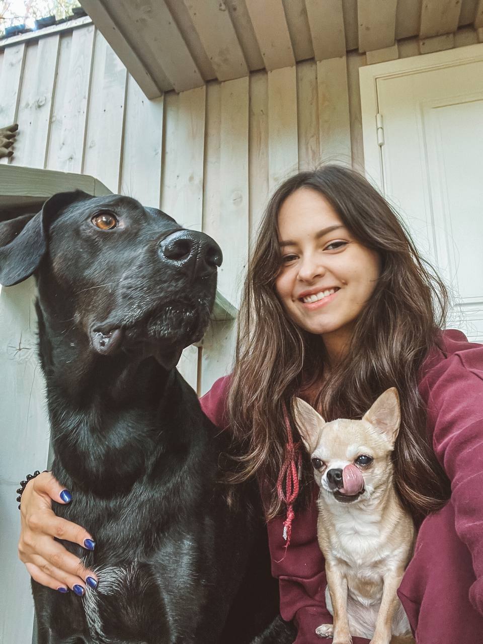 Анастасия Рудакова спикер курса для возбудимых собак