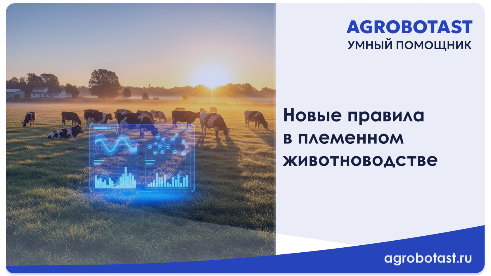 Новые правила в племенном животноводстве