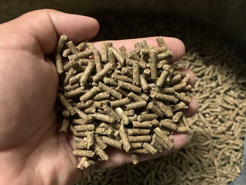 Купить Корм Pellets Для Шиншилл