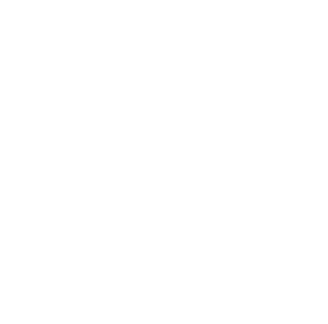 website icon