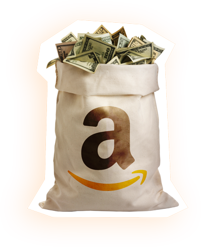 Amazon Money Bag