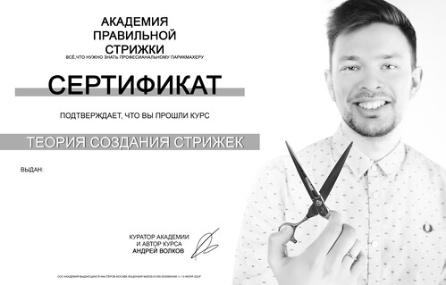 Образец сертификата курса «Теория создания стрижек»
