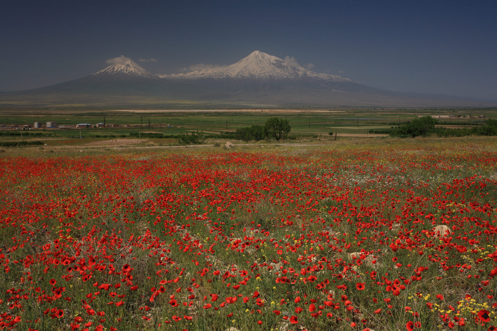 Гора Арарат с Араратской Долиной