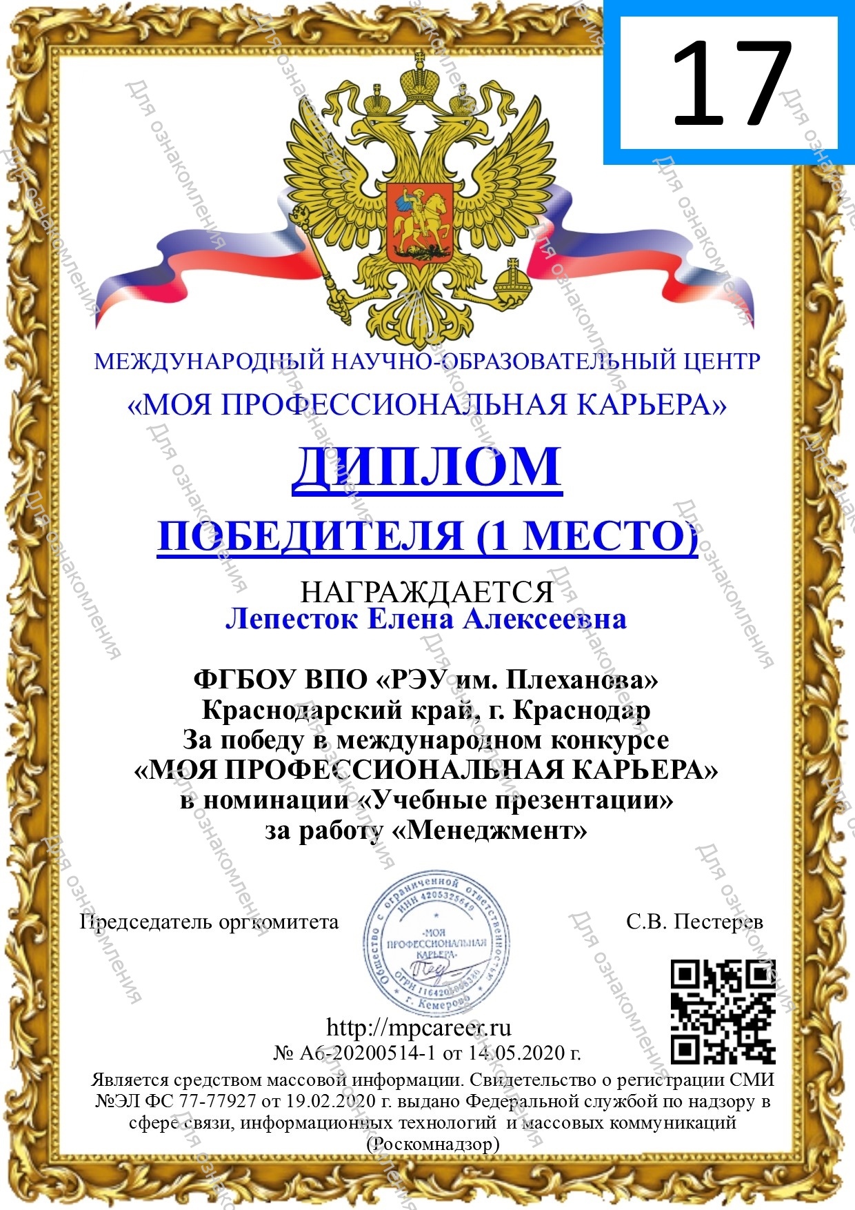 Моя профессиональная карьера проект