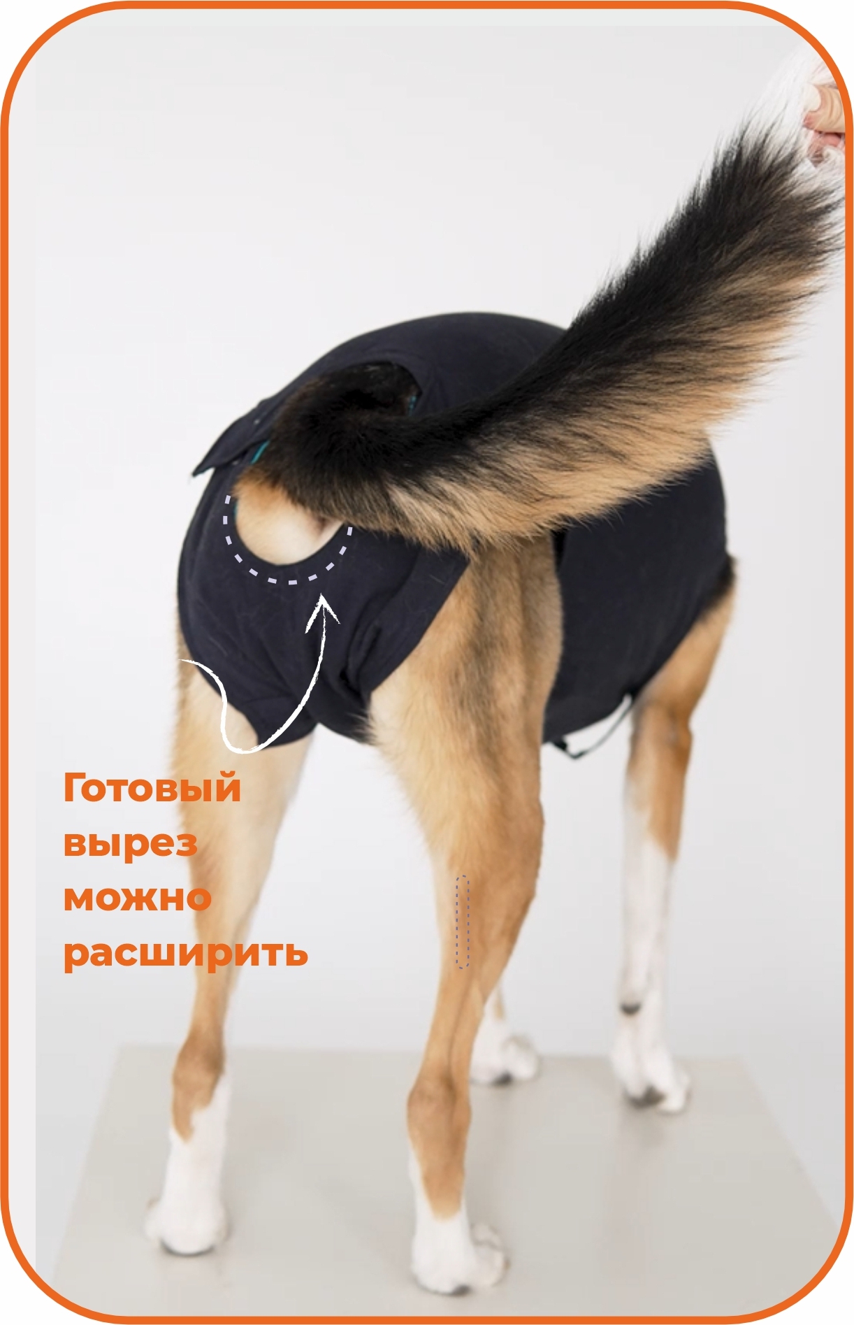 Вариант для девочек