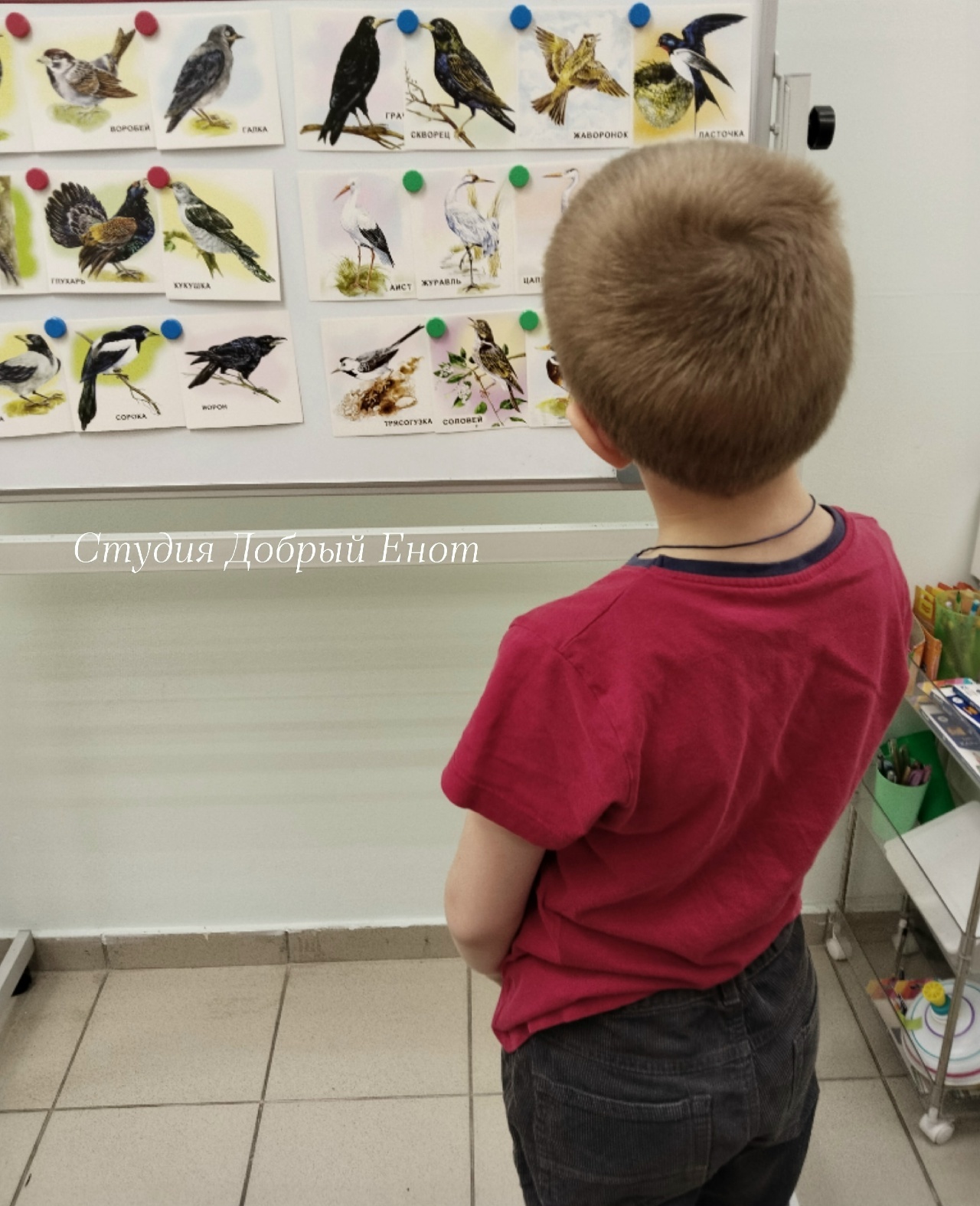 Подготовка к школе 6-7 лет