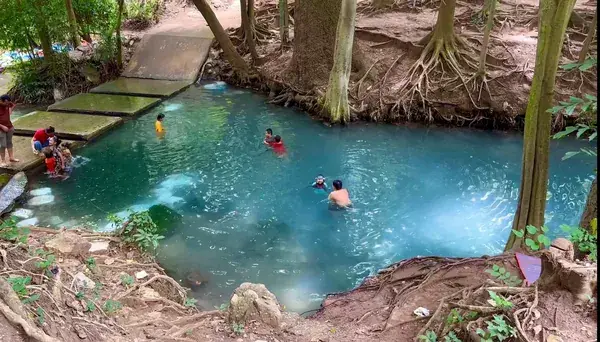 Дети плавают в лесном водоёме