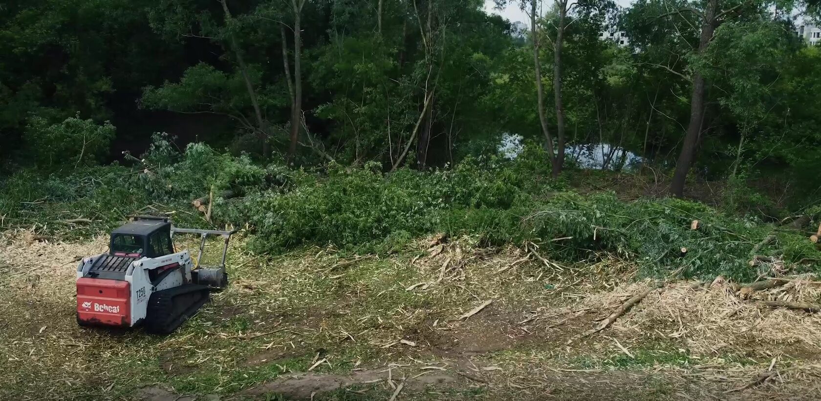 🌾