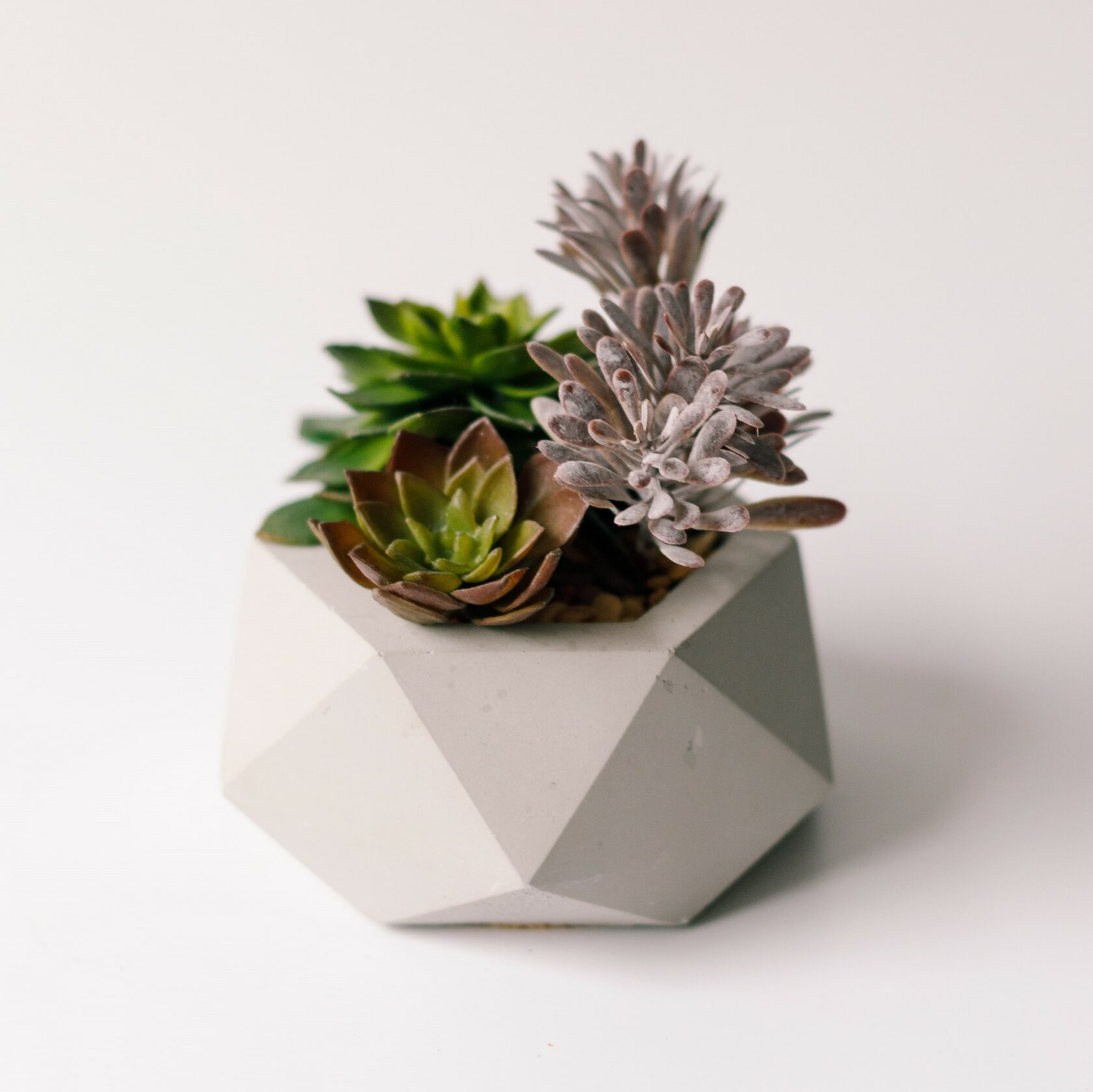 Кашпо искусственными сукулентами