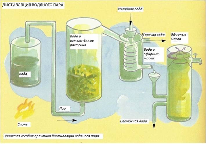 Смесь воды и растительного масла можно разделить с помощью прибора изображенного на рисунке