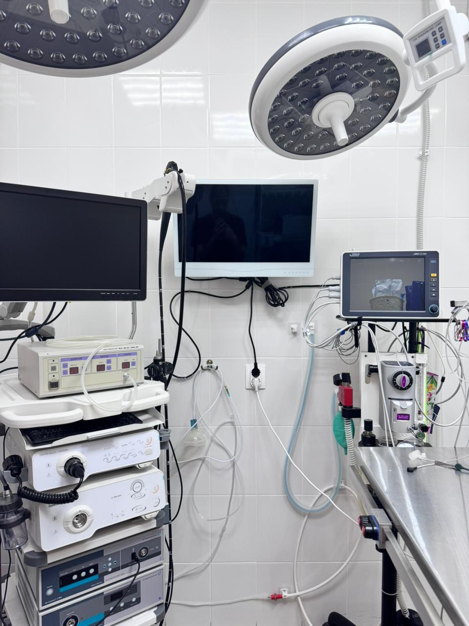 Порно секс қыз skonem