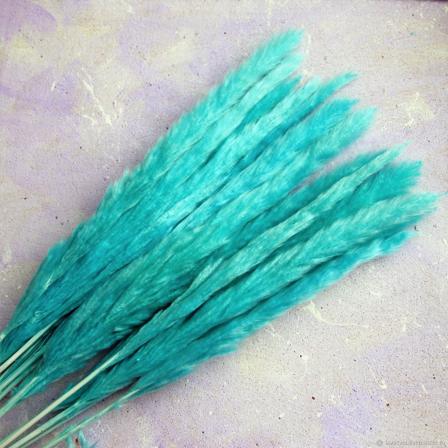 пампасная трава сухоцвет