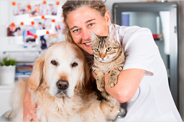 Благотворительный фонд поможи животных, помощь животным, взять кошку из приюта, взять собаку из приюта