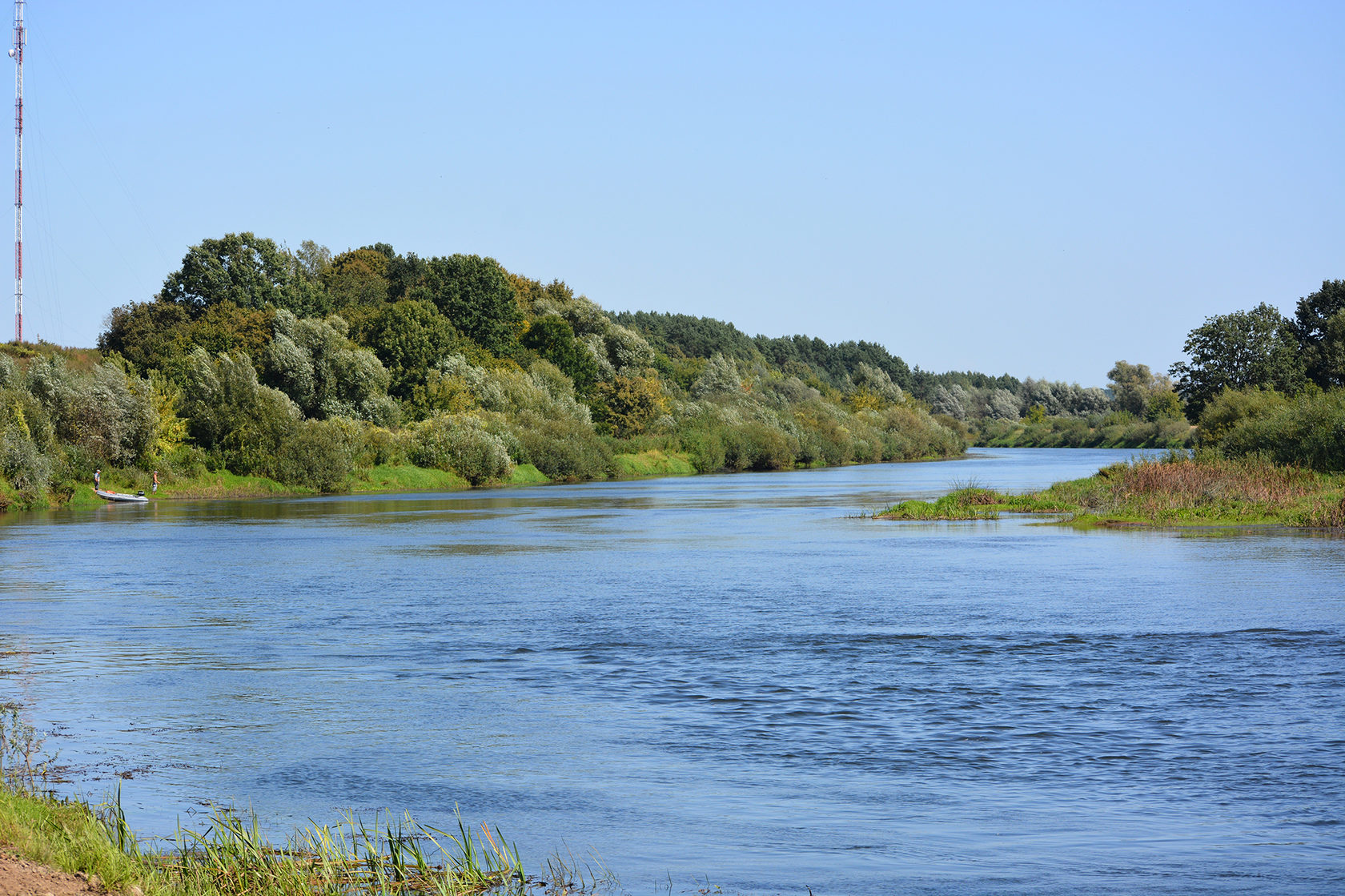 Река сож гомель фото