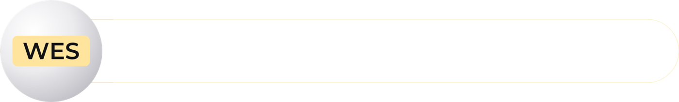 WES — We Educate the Smartest