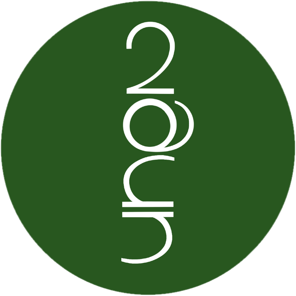 2ДИП