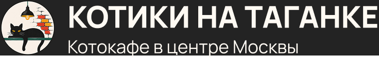Котики на Таганке