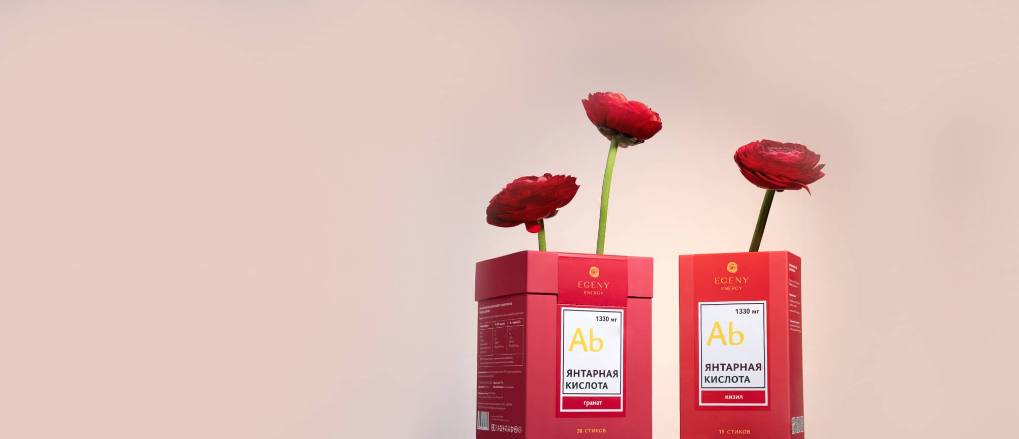 Акции и специальные предложения