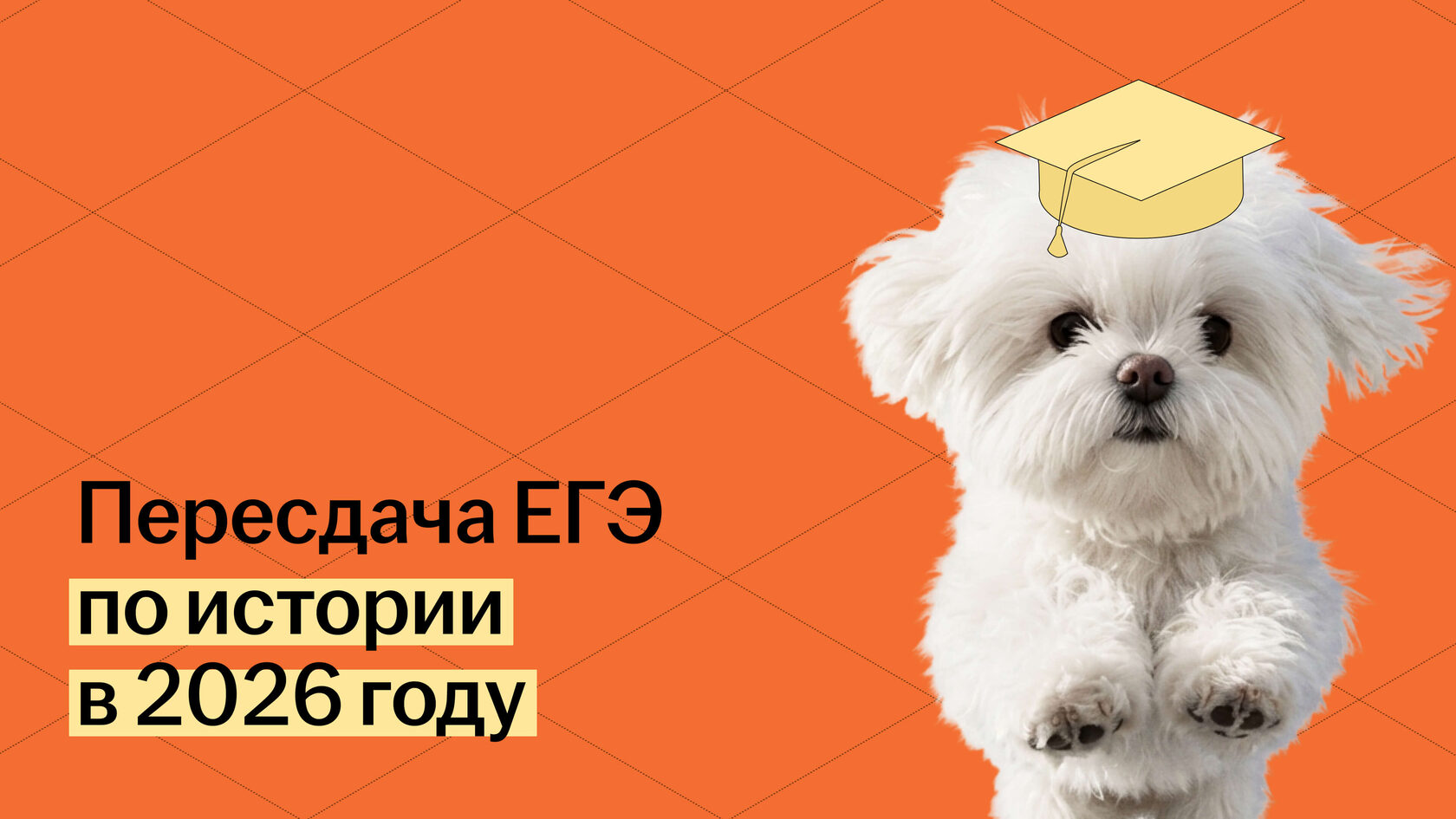 Как пересдать ЕГЭ по истории: даты и план действий в 2026 году
