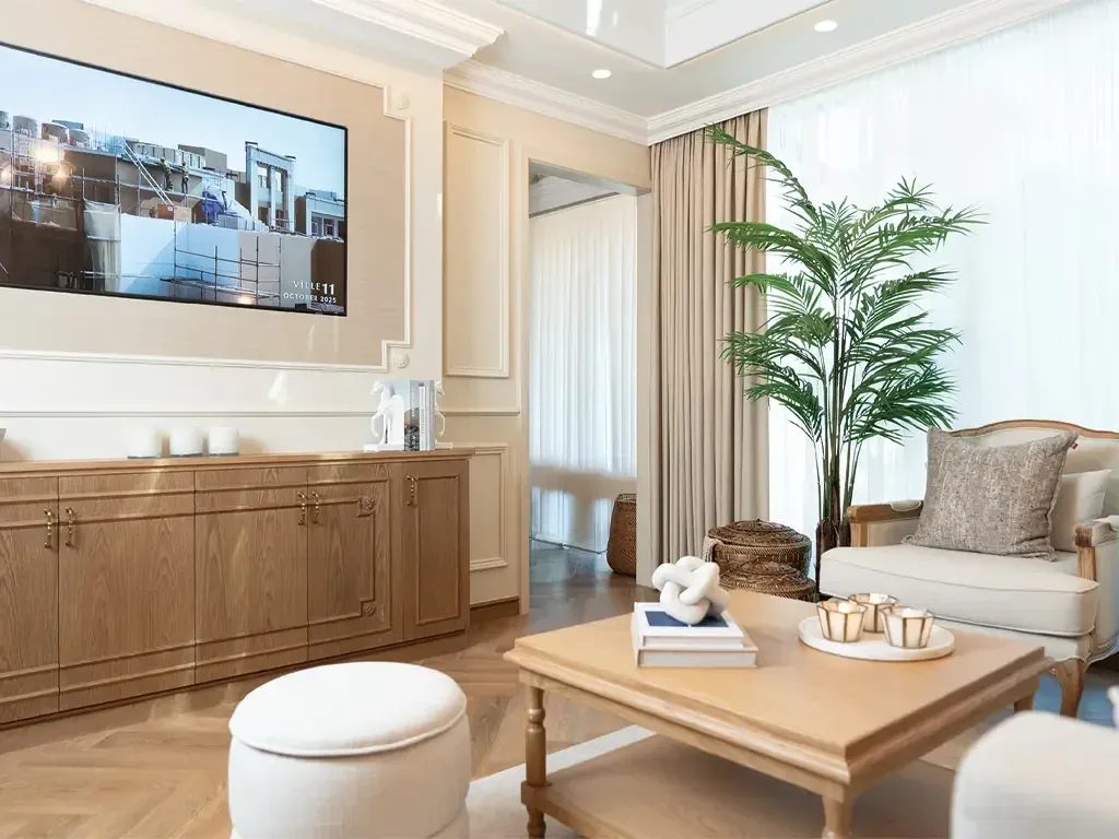 Furnished living room