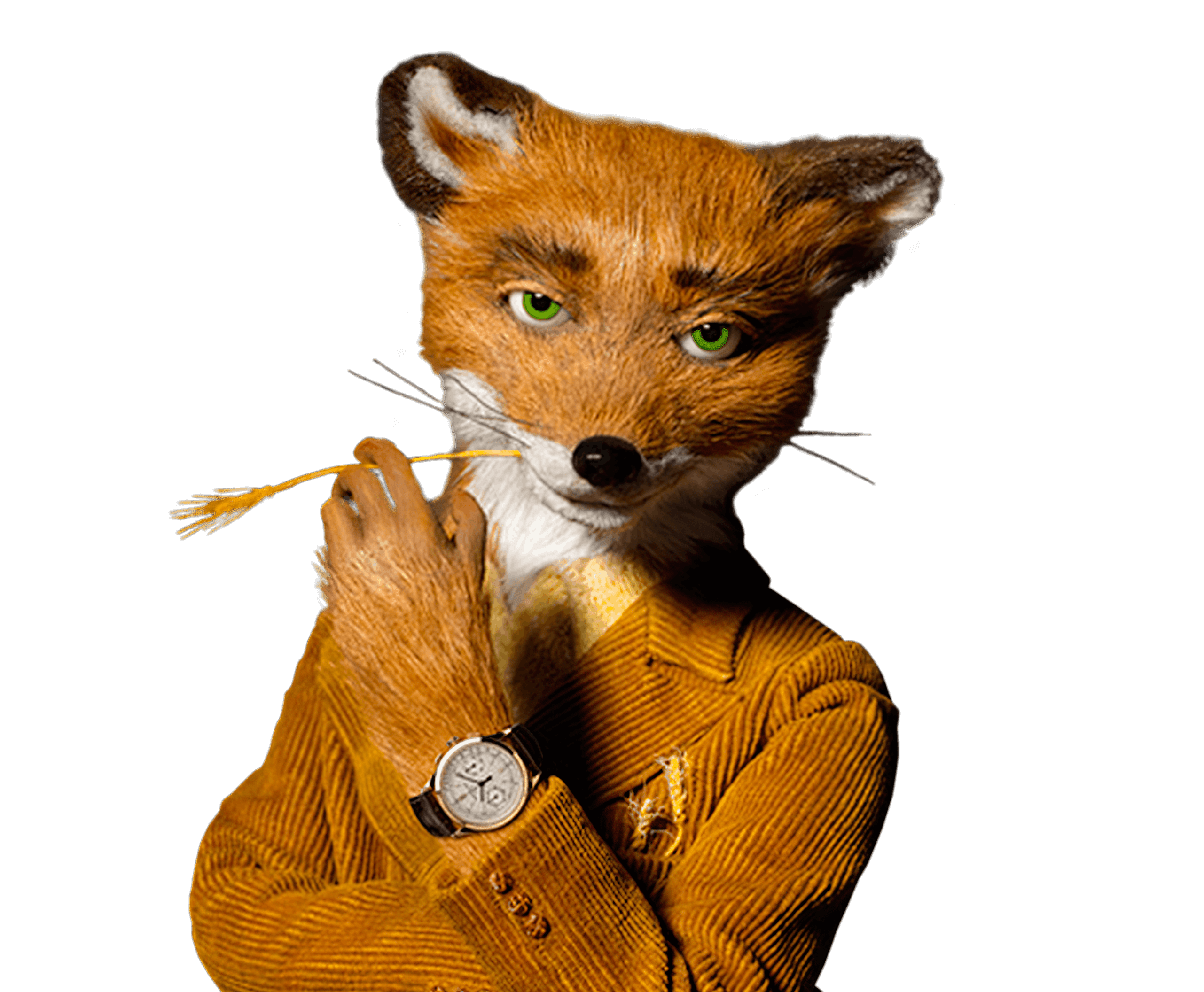 Fantastic Mr Fox