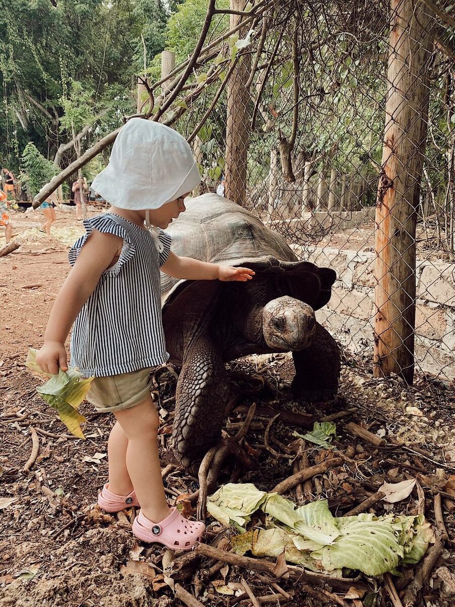 Девочка дружит с большой черепахой