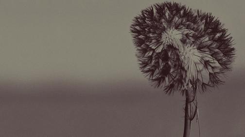 Чернобыльская молитва