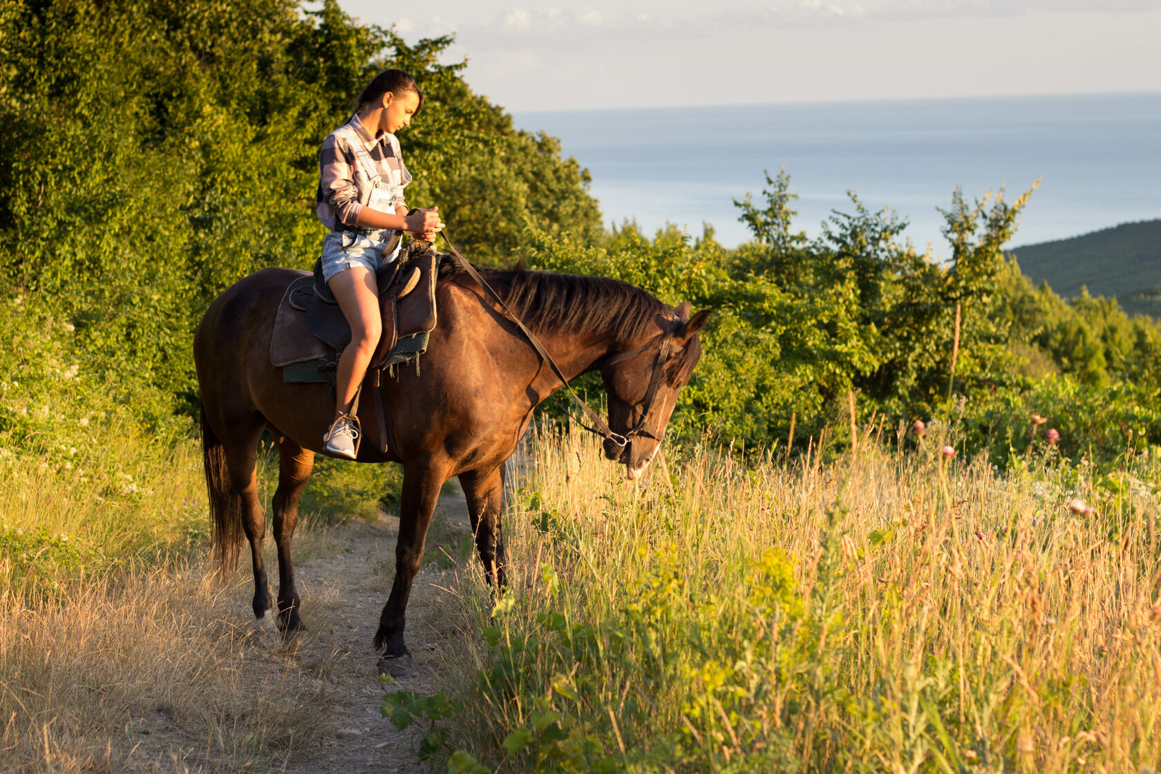 конные прогулки в предгорьях Кавказа, конные прогулки в Анапе, забронировать прогулку, верховая езда в Анапе, отдых в Анапе, конный прокат в Анапе