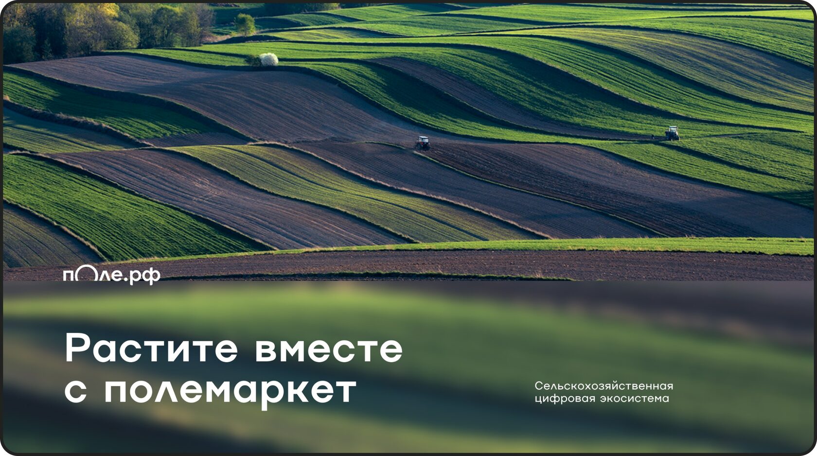 В основе концепции — фундаментальные элементы аграрного дела: солнце, земля, вода и ветер.