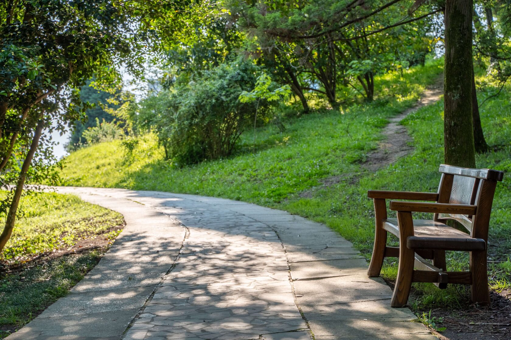 Дендрарий Сочи — субтропические растения и канатная дорога