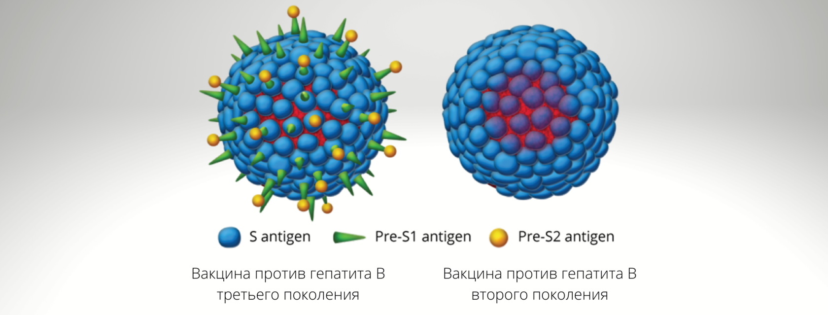 Вирусный гепатит В