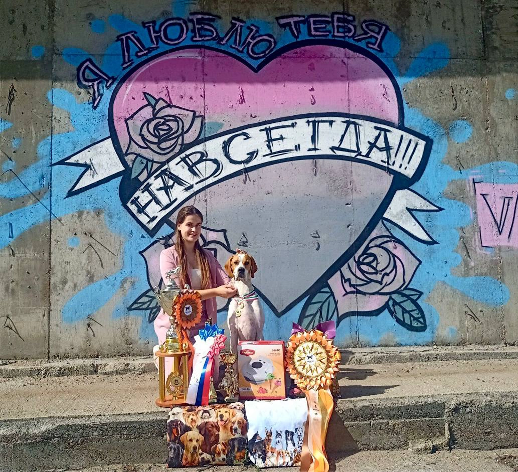 Хендлинг - подготовка собак к выставкам в Иркутске