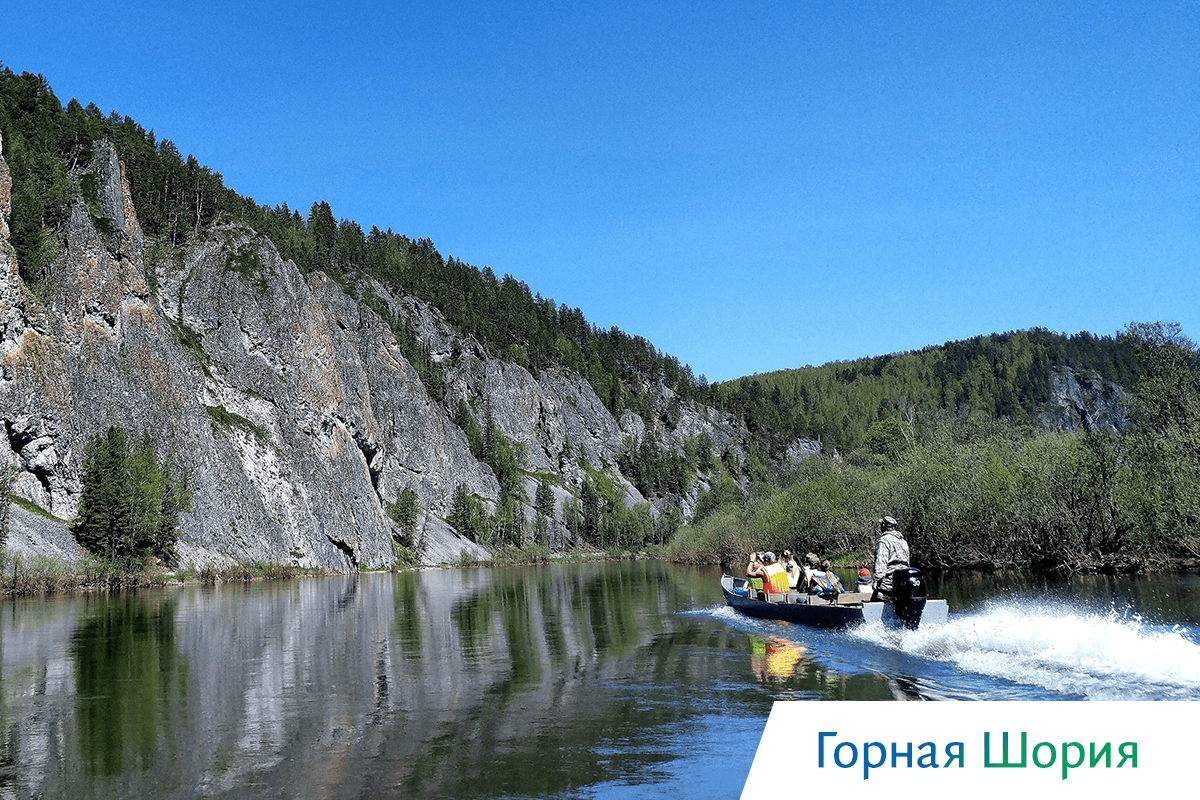 киты в охотском море