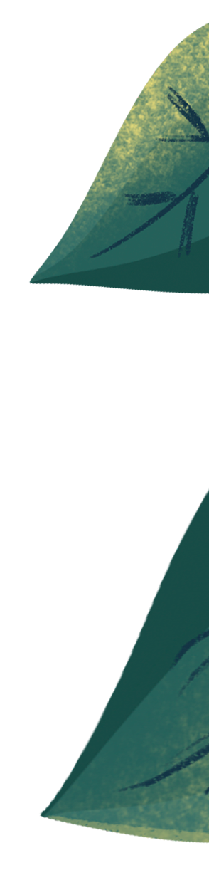 Летние листья деревьев иллюстрация к настольной игре для детей 4+ лет изданной компанией leoland