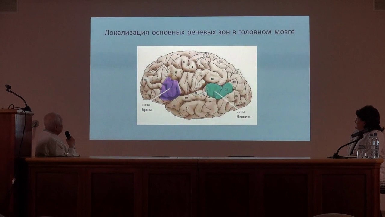Видео лекции по неврологии. Кадыков инсульта реабилитация. Лекции по неврологии. Научный центр неврологии. Нейропластичность – основа нейрореабилитации.