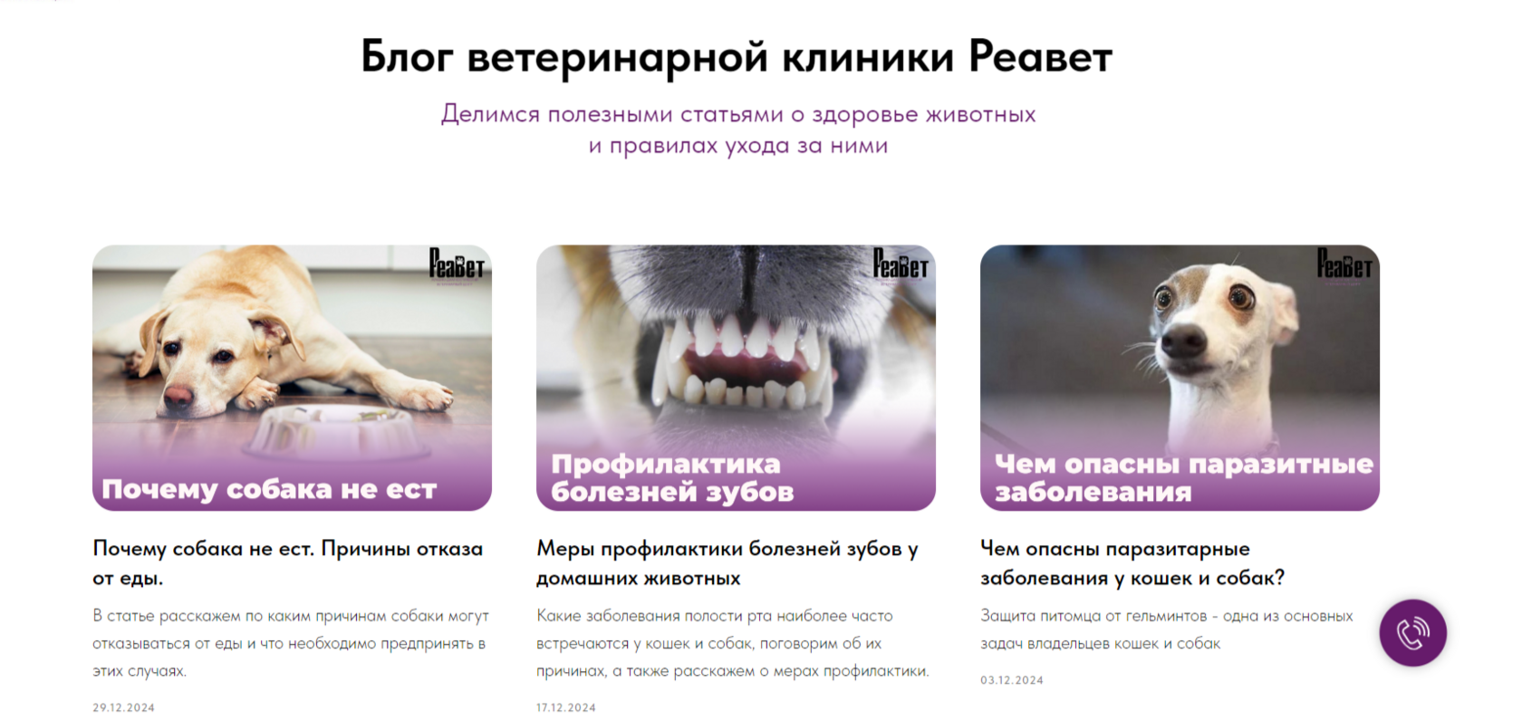 КЕЙС: Комплексное продвижение ветеринарной клиники, изображение №4