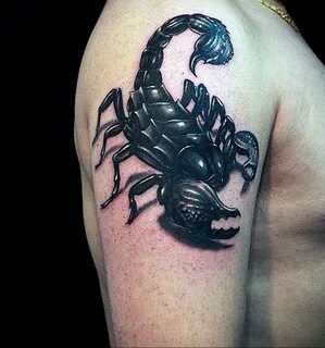 Тату скорпион – 1 фото | Самые красивые татуировки скорпиона