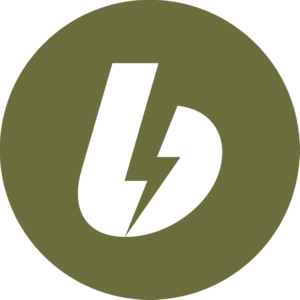 website icon