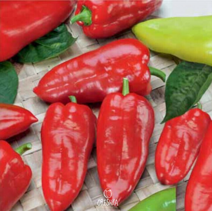 Seeds of Sweet pepper Thank you (Capsicum) — 10 pcs