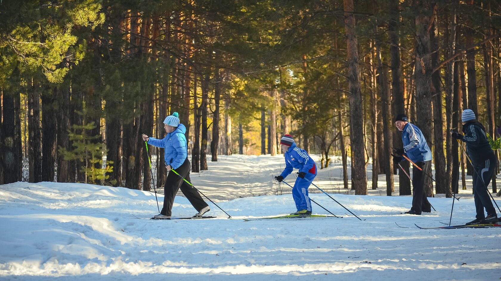 Прогулка на лыжах в лесу