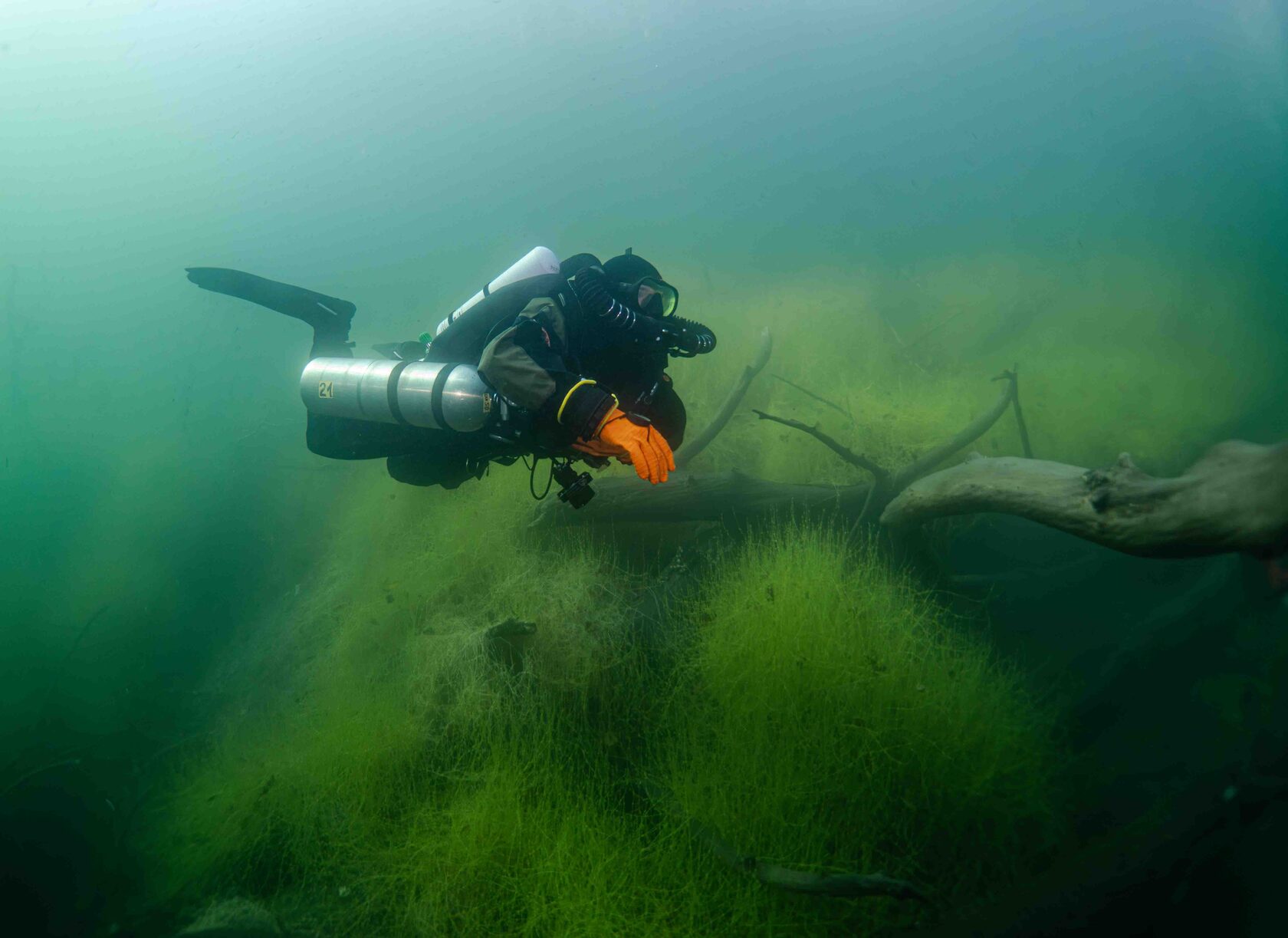 Дайвинг на Голубом озере в Кабардино-Балкарии. Фото Валерия Юркина