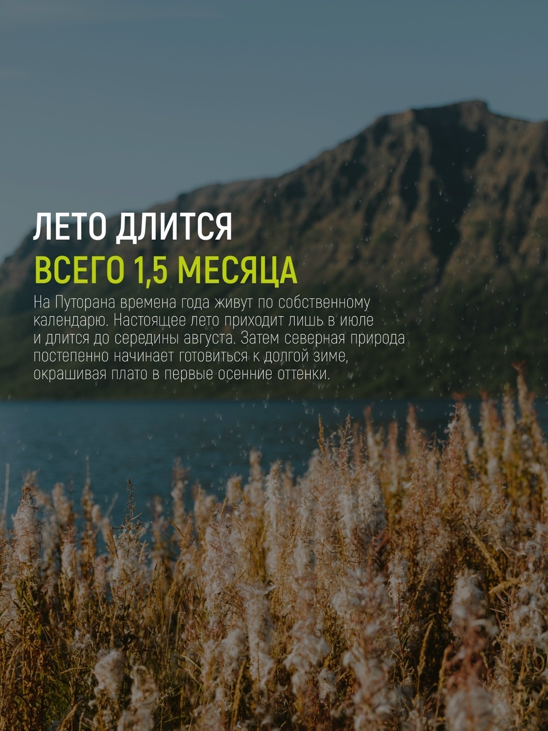 Лето длится всего 1,5 месяца на плато Путорана
