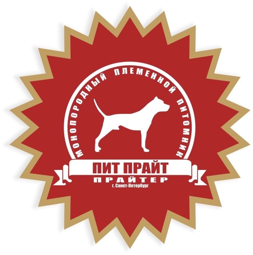 Питомник «Пит Прайт» породы «Прайтер»