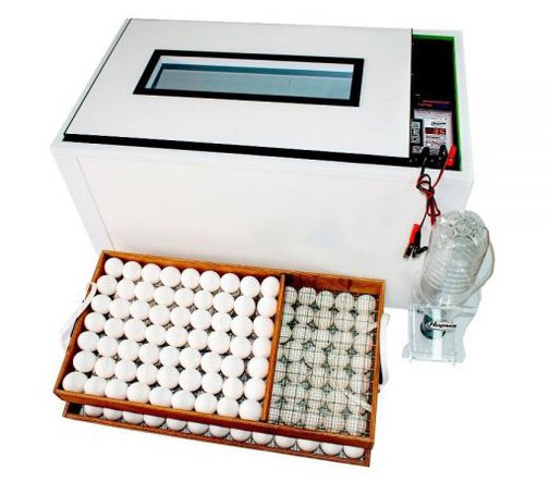 Инкубатор с автоматическим переворотом яиц: описание механизма + обзор самоделок