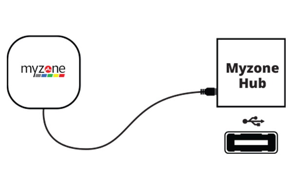 My zone датчики