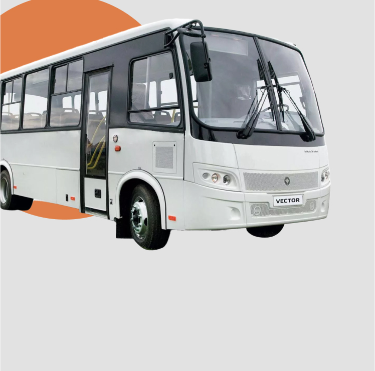 паз 29 мест, паз вектор